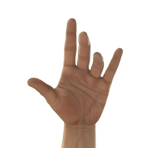 Man Hands 2 Rigged for Cinema 4D 3D Model