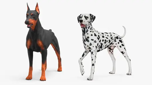 Dogs Collection 3D Model
